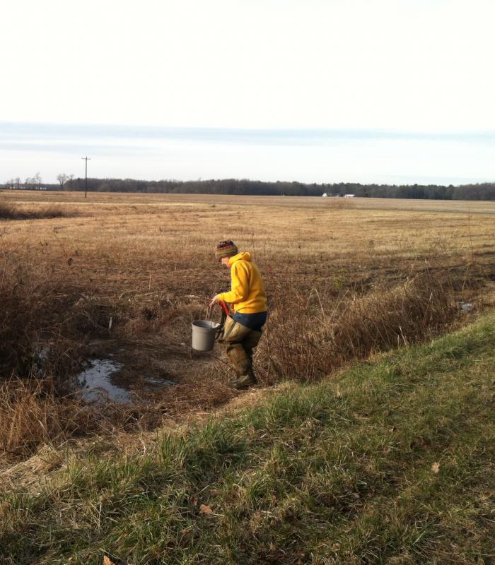 person gathering samples with a bucket